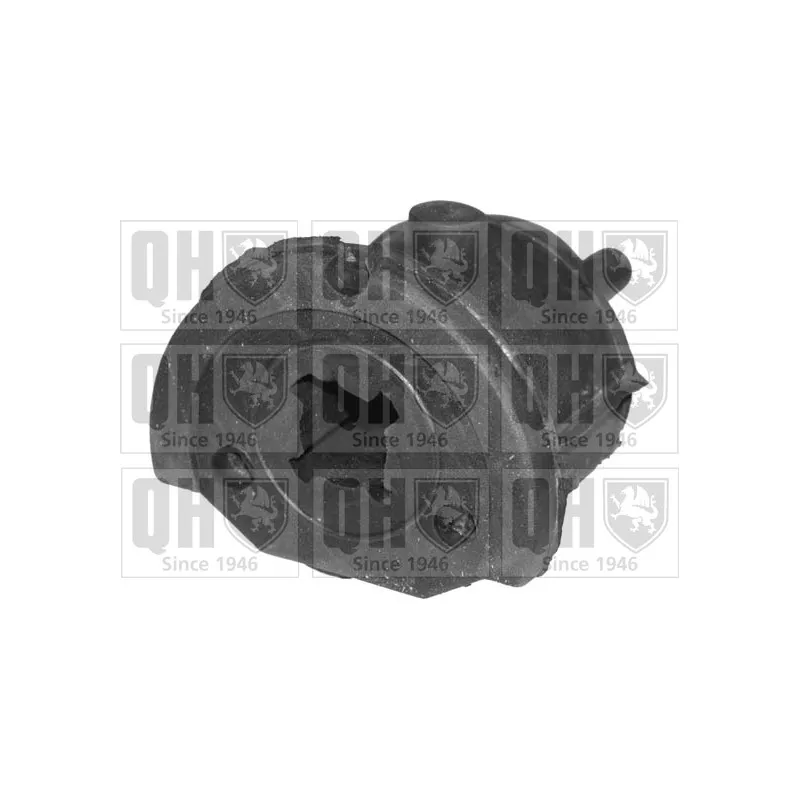 Silent bloc de suspension (train avant) QUINTON HAZELL EMS8075