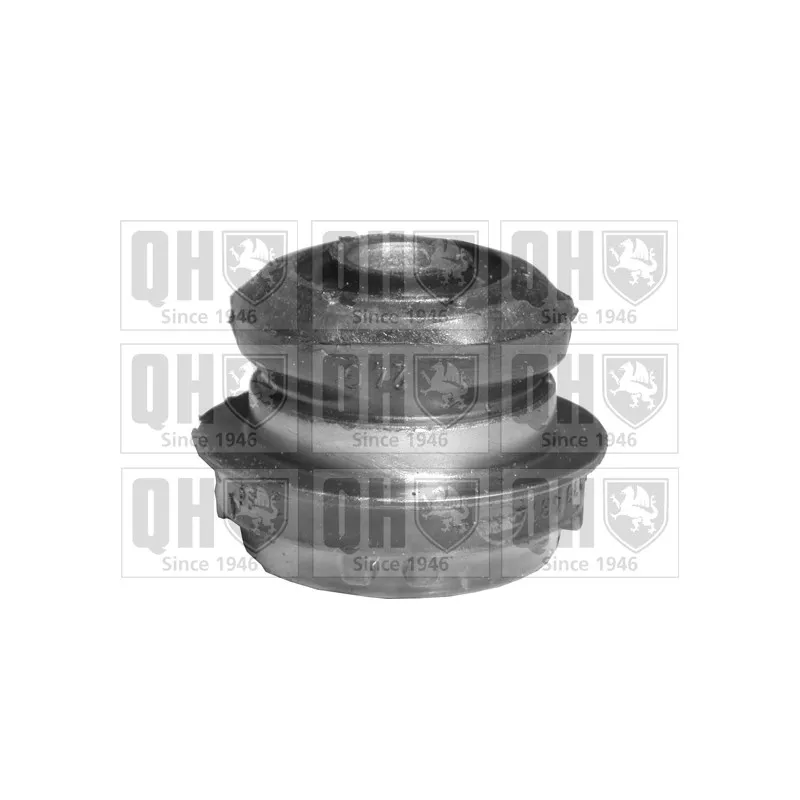 Silent bloc de suspension (train avant) QUINTON HAZELL EMS8120