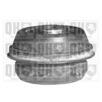 Silent bloc de suspension (train avant) QUINTON HAZELL EMS8125
