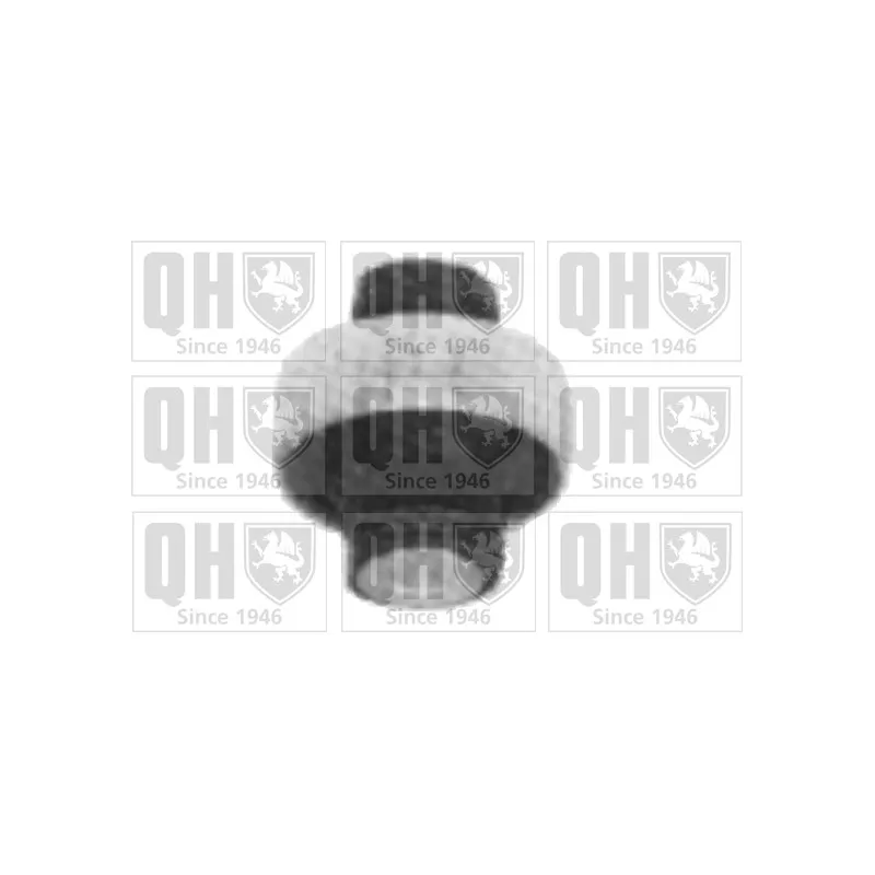 Silent bloc de suspension (train avant) QUINTON HAZELL EMS8156