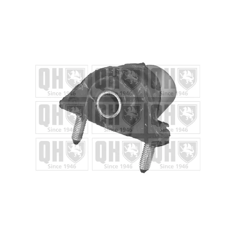 Silent bloc de suspension (train avant) QUINTON HAZELL EMS8216