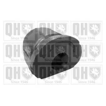 Silent bloc de suspension (train avant) QUINTON HAZELL EMS8274