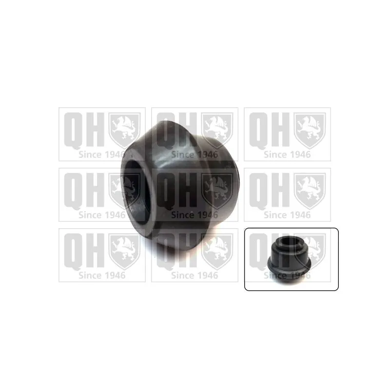 Silent bloc de suspension (train avant) QUINTON HAZELL EMS8286