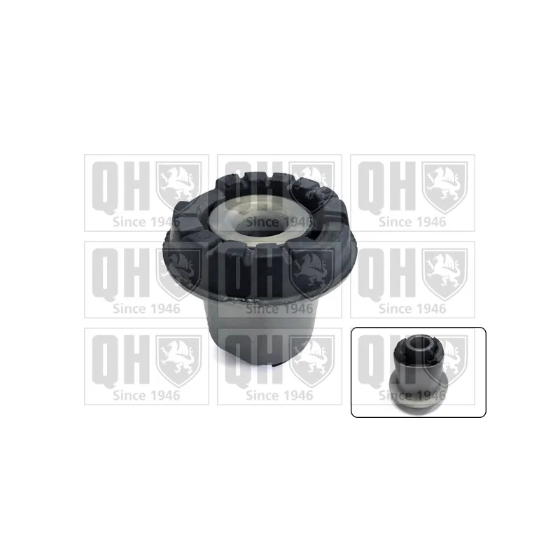 Support/suspension,plot de berceau/Support d'agrégats QUINTON HAZELL EMS8290