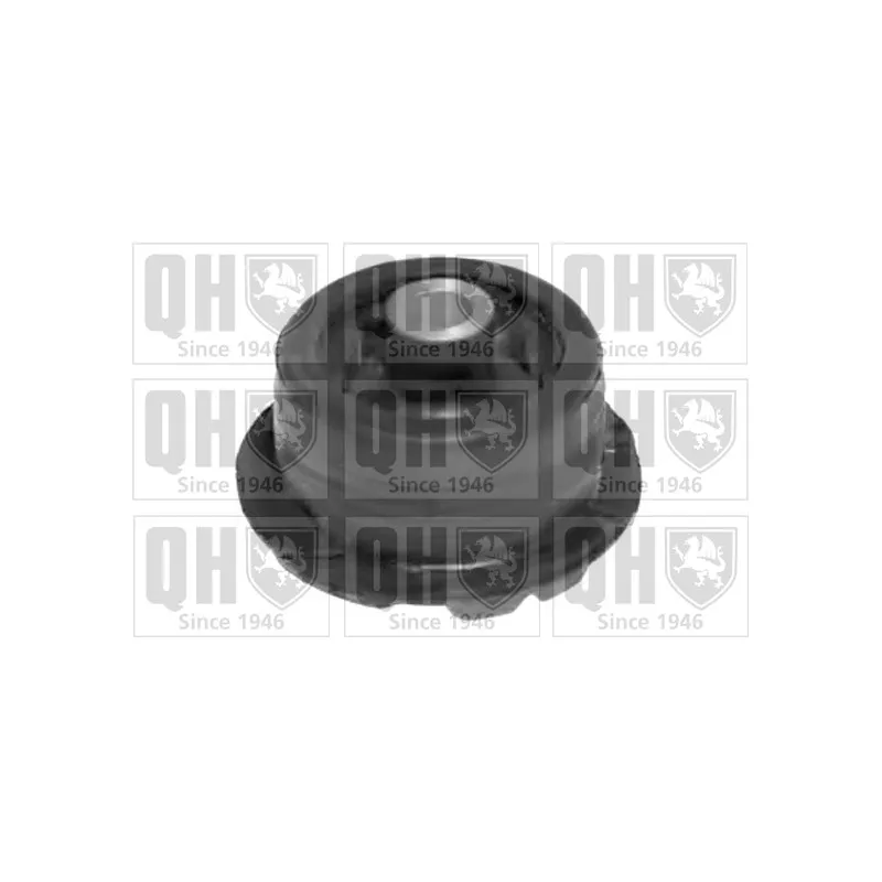 Suspension, corps de l'essieu QUINTON HAZELL EMS8294