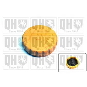 Bouchon, réservoir de liquide de refroidissement QUINTON HAZELL FC500