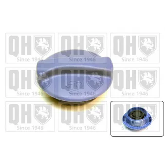 Bouchon, réservoir de liquide de refroidissement QUINTON HAZELL FC504