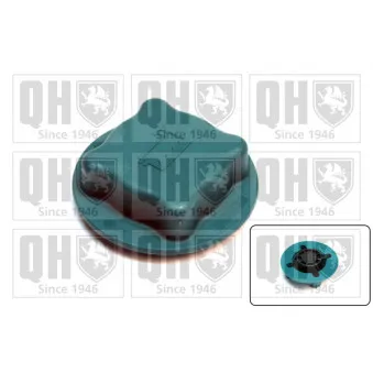 Bouchon, réservoir de liquide de refroidissement QUINTON HAZELL FC505