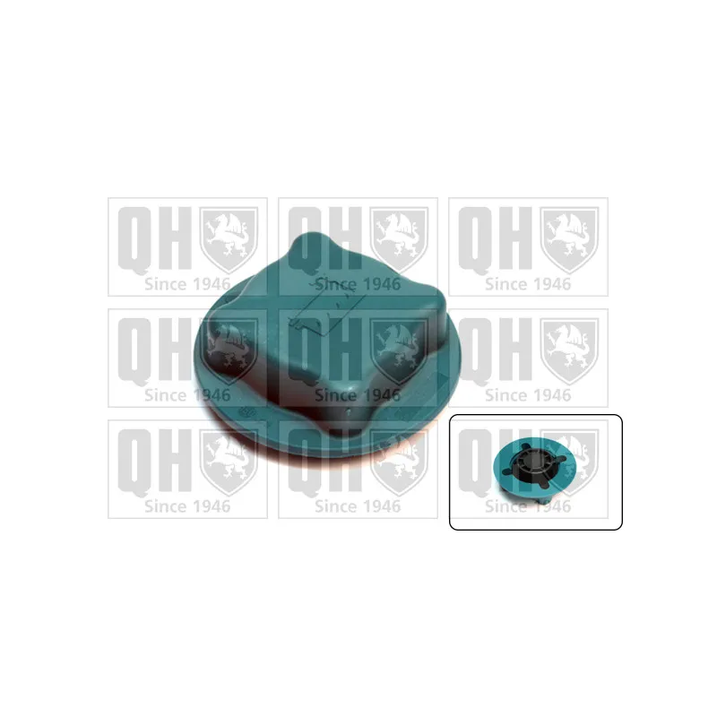 Bouchon, réservoir de liquide de refroidissement QUINTON HAZELL FC505