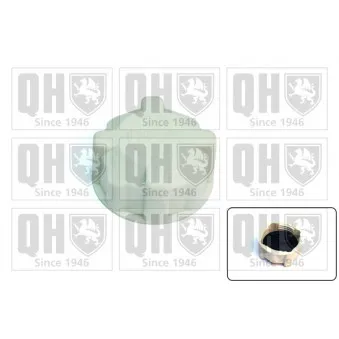 Bouchon, réservoir de liquide de refroidissement QUINTON HAZELL FC509