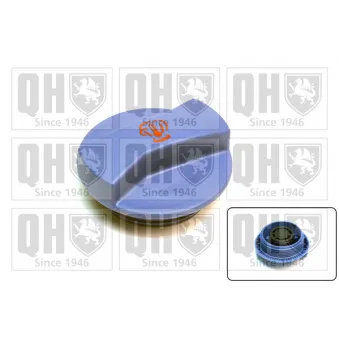 Bouchon, réservoir de liquide de refroidissement QUINTON HAZELL FC513
