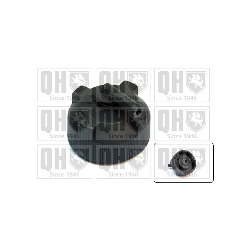 Bouchon, réservoir de liquide de refroidissement QUINTON HAZELL FC518