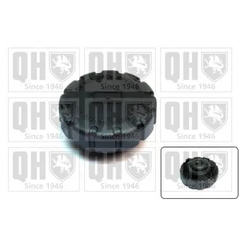 Bouchon, réservoir de liquide de refroidissement QUINTON HAZELL FC523