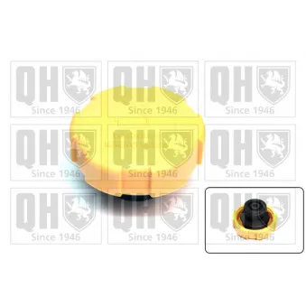 Bouchon, réservoir de liquide de refroidissement QUINTON HAZELL FC525