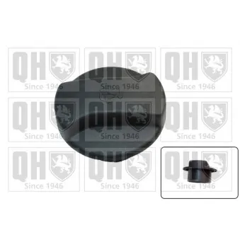Bouchon, réservoir de liquide de refroidissement QUINTON HAZELL FC539
