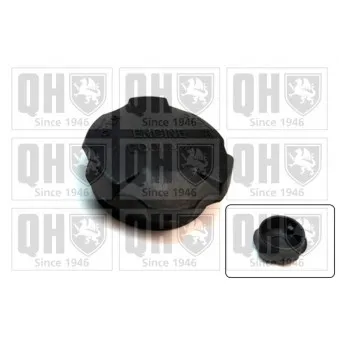 Bouchon, réservoir de liquide de refroidissement QUINTON HAZELL FC545