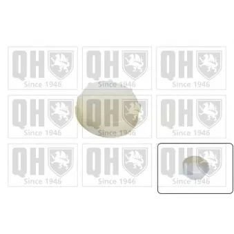 Bouchon, réservoir de liquide de refroidissement QUINTON HAZELL FC548