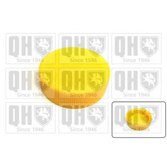Bouchon, réservoir de liquide de refroidissement QUINTON HAZELL FC556