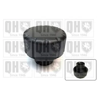 Bouchon, réservoir de liquide de refroidissement QUINTON HAZELL FC559