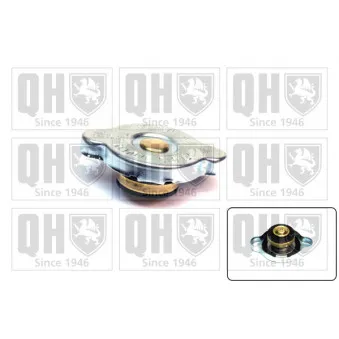 Bouchon de radiateur QUINTON HAZELL FC68