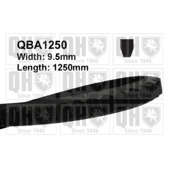 Courroie trapézoïdale QUINTON HAZELL QBA1250