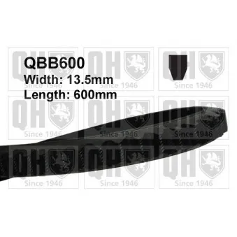 Courroie trapézoïdale QUINTON HAZELL QBB600