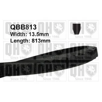 Courroie trapézoïdale QUINTON HAZELL QBB813