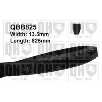 Courroie trapézoïdale QUINTON HAZELL QBB825