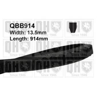 Courroie trapézoïdale QUINTON HAZELL QBB914