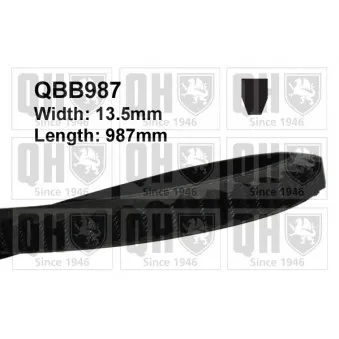 Courroie trapézoïdale QUINTON HAZELL QBB987