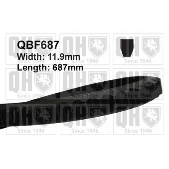 Courroie trapézoïdale QUINTON HAZELL QBF687