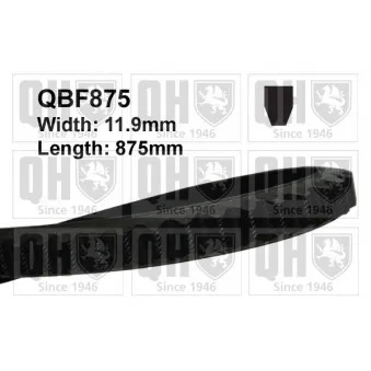 Courroie trapézoïdale QUINTON HAZELL QBF875