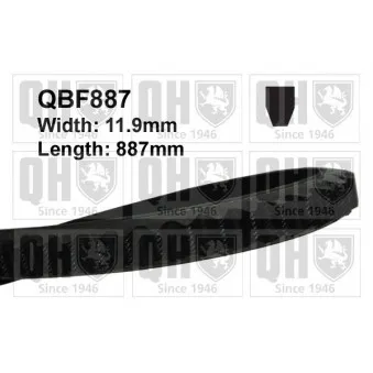 Courroie trapézoïdale QUINTON HAZELL QBF887
