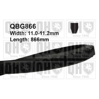 Courroie trapézoïdale QUINTON HAZELL QBG866