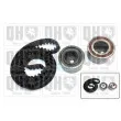 Kit de distribution QUINTON HAZELL QBK351 - Visuel 1