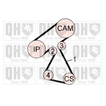 Kit de distribution QUINTON HAZELL QBK644