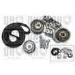 Kit de distribution QUINTON HAZELL QBK731 - Visuel 1