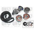 Kit de distribution QUINTON HAZELL QBK768 - Visuel 1