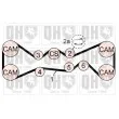 Kit de distribution QUINTON HAZELL QBK770 - Visuel 2