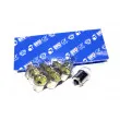 Ampoule QUINTON HAZELL QBL209 - Visuel 1