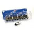 Ampoule QUINTON HAZELL QBL233 - Visuel 1