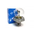 Ampoule QUINTON HAZELL QBL410 - Visuel 1
