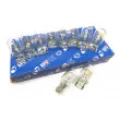 Ampoule QUINTON HAZELL QBL582 - Visuel 1