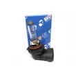 Ampoule, Phares antibrouillard QUINTON HAZELL QBL710 - Visuel 1