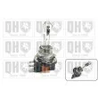 Ampoule, projecteur longue portée QUINTON HAZELL QBL715 - Visuel 2