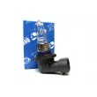 Ampoule, Phares avant QUINTON HAZELL QBL9005 - Visuel 1