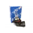 Ampoule QUINTON HAZELL QBL9012 - Visuel 1