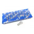 Ampoule QUINTON HAZELL QBL921 - Visuel 1