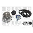 Pompe à eau + kit de courroie de distribution QUINTON HAZELL QBPK1471 - Visuel 1