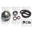 Pompe à eau + kit de courroie de distribution QUINTON HAZELL QBPK1580 - Visuel 1